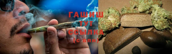 сатива Балахна