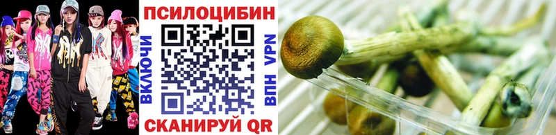 Галлюциногенные грибы Cubensis  Шагонар 